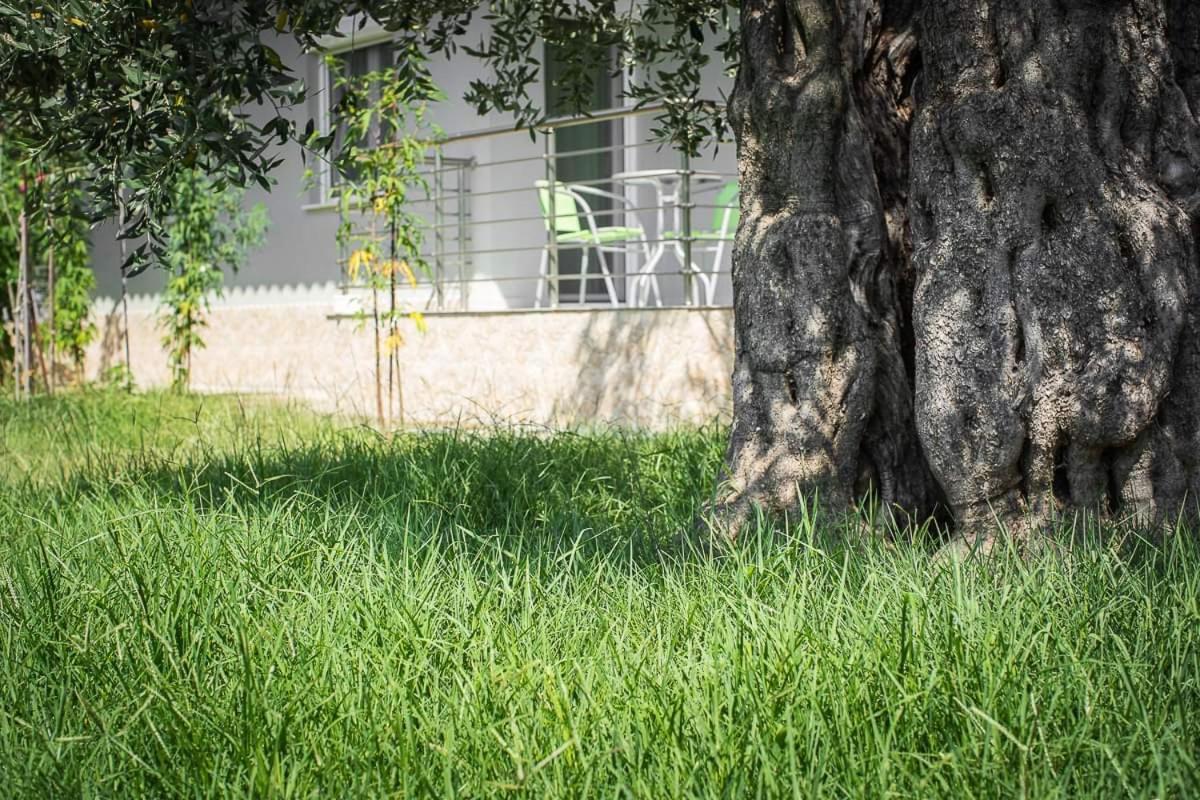 Mougkrasstudio Daire Skala Rachoni  Dış mekan fotoğraf